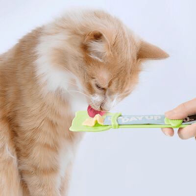 Distributeur Nourriture Chat - MeowSpoon™ - Vert - les - chats - de - luxe