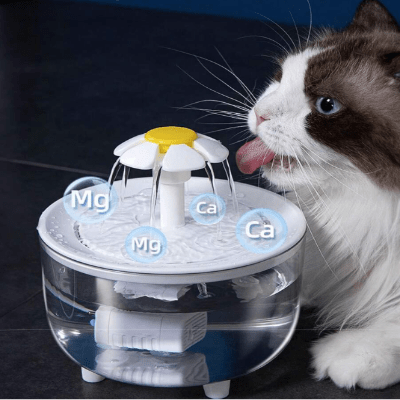 Fontaine à Eau Pour Chat - CatDrinker™ - Blanc Transparent - les - chats - de - luxe
