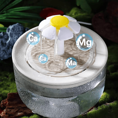 Fontaine à Eau Pour Chat - CatDrinker™ - Bois Transparent - les - chats - de - luxe