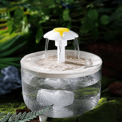 Fontaine à Eau Pour Chat - CatDrinker™ - Bois Transparent - les - chats - de - luxe