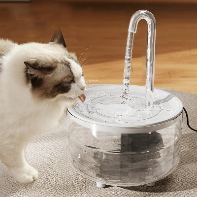 Fontaine à Eau Pour Chat - CatDrinker™ - Tube Transparent - les - chats - de - luxe