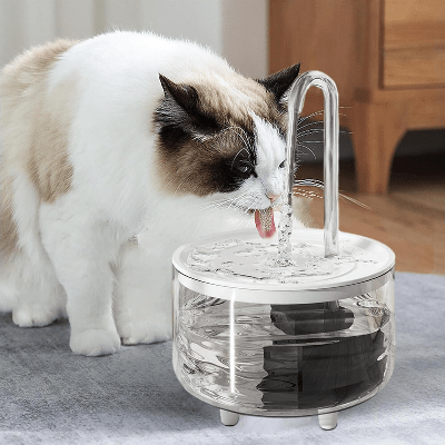 Fontaine à Eau Pour Chat - CatDrinker™ - Tube Transparent - les - chats - de - luxe