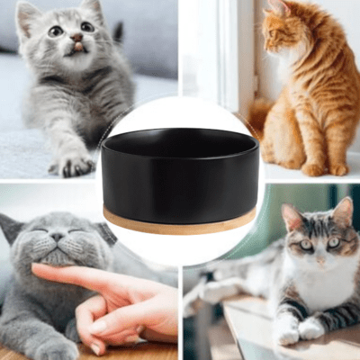 Gamelle pour Chat - WarmSipCatBowl™ - Noir - les - chats - de - luxe