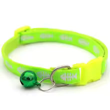 Collier Chat | balle à plume rotative