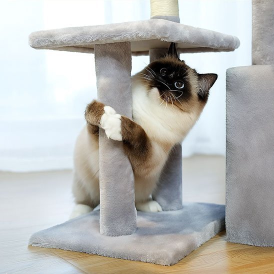 Arbre à Chat Design | Confort pour Chats
