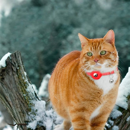 Collier GPS chat | Tracker Félin