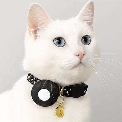 🐾Collier Réglable pour Chat avec Clochette – Style, Sécurité et Confort