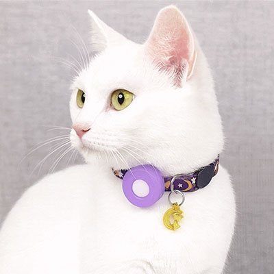 🐾Collier Réglable pour Chat avec Clochette – Style, Sécurité et Confort