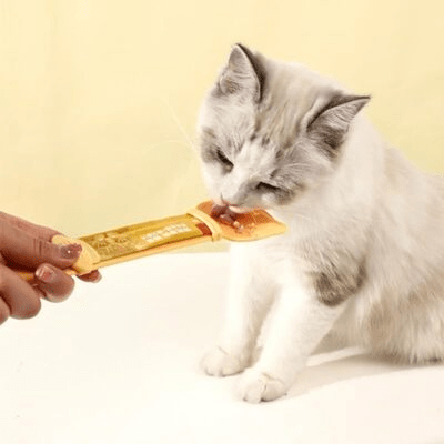 Distributeur Nourriture Chat - MeowSpoon™ - Orange - les - chats - de - luxe