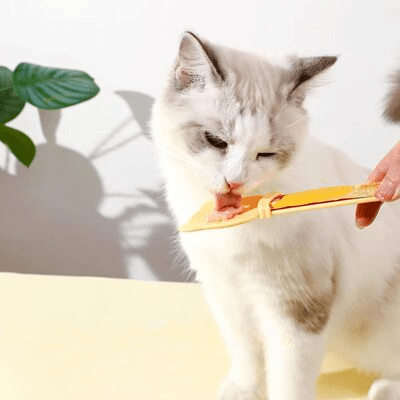 Distributeur Nourriture Chat - MeowSpoon™ - Orange - les - chats - de - luxe