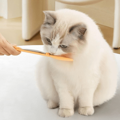 Distributeur Nourriture Chat - MeowSpoon™ - Orange - les - chats - de - luxe