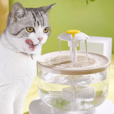 Fontaine à Eau Pour Chat - CatDrinker™ - Bois Transparent - les - chats - de - luxe