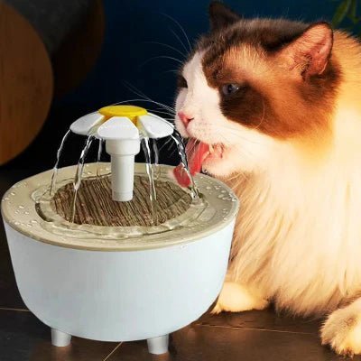 Fontaine à Eau Pour Chat - CatDrinker™ - Grain de bois blanc - les - chats - de - luxe