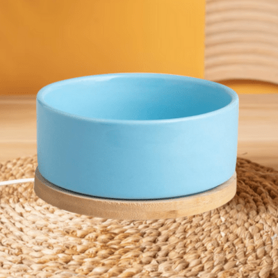 Gamelle pour Chat - WarmSipCatBowl™ - Bleu - les - chats - de - luxe