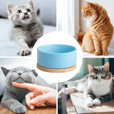 Gamelle pour Chat - WarmSipCatBowl™ - Bleu - les - chats - de - luxe