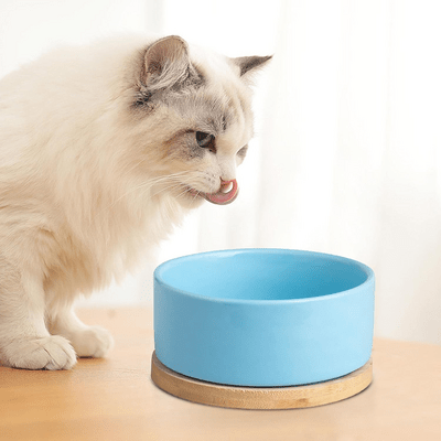 Gamelle pour Chat - WarmSipCatBowl™ - Bleu - les - chats - de - luxe