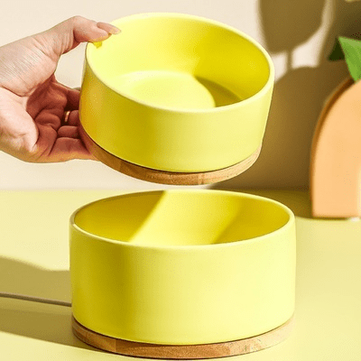 Gamelle pour Chat - WarmSipCatBowl™ - Jaune - les - chats - de - luxe