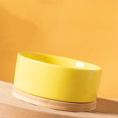 Gamelle pour Chat - WarmSipCatBowl™ - Jaune - les - chats - de - luxe