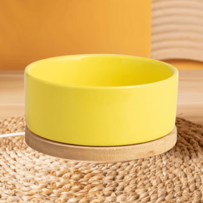 Gamelle pour Chat - WarmSipCatBowl™ - Jaune - les - chats - de - luxe