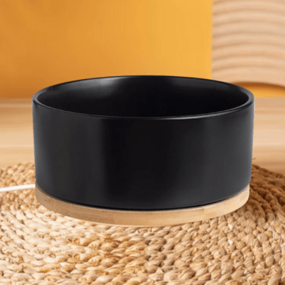 Gamelle pour Chat - WarmSipCatBowl™ - Noir - les - chats - de - luxe