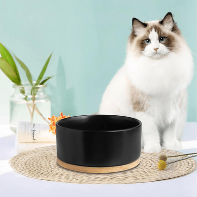 Gamelle pour Chat - WarmSipCatBowl™ - Noir - les - chats - de - luxe
