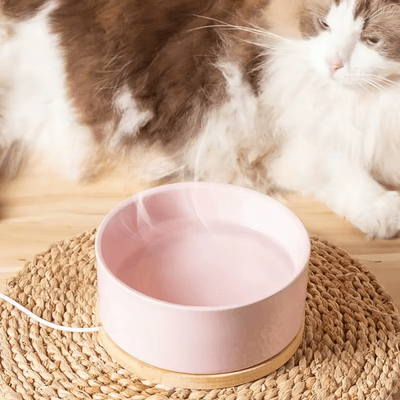 Gamelle pour Chat - WarmSipCatBowl™ - Rose - les - chats - de - luxe