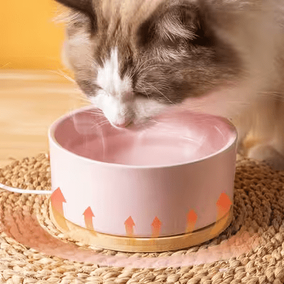 Gamelle pour Chat - WarmSipCatBowl™ - Rose - les - chats - de - luxe